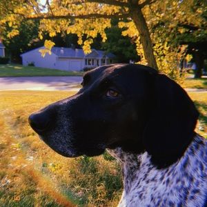 Meet your Posher, Zoe